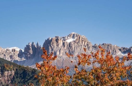 Heiglerhof - Cornedo in Val d‘Ega / Alto Adige