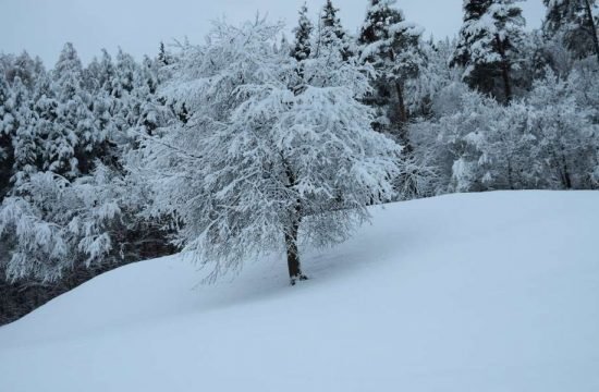 heiglerhof-steinegg-eggental-suedtirol (36)