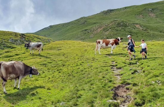 Heiglerhof - Collepietra - Alto Adige