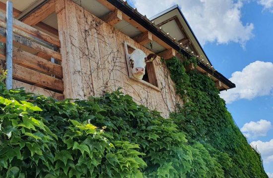 heiglerhof-steinegg-suedtuerol (4)