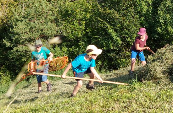 heiglerhof-steinegg-suedtuerol-(6)