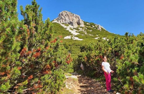 heiglerhof-steinegg-suedtuerol (7)