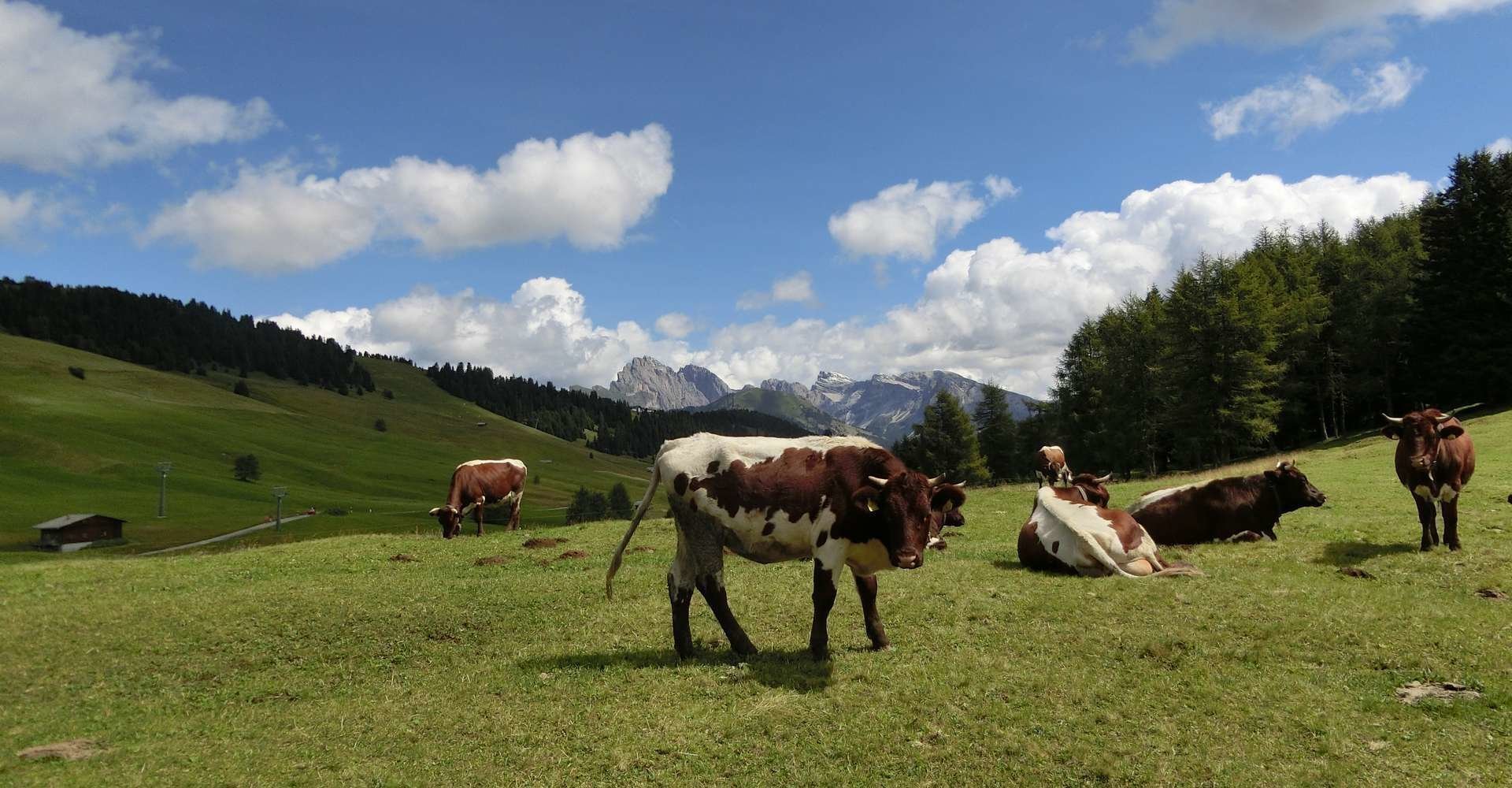 hofprodukte-suedtirol