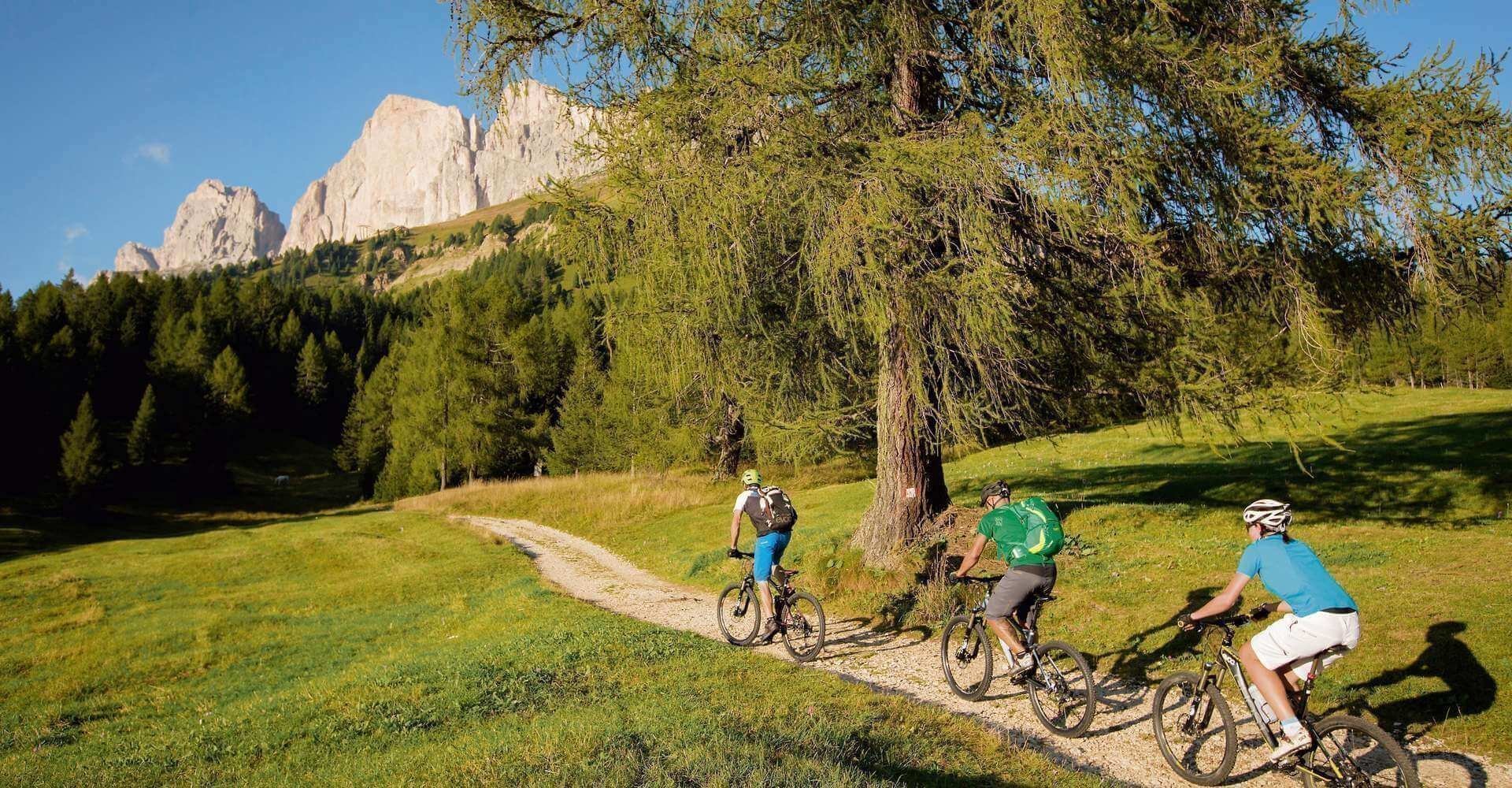 mountainbike-e-bike-steinegg-rosengarten