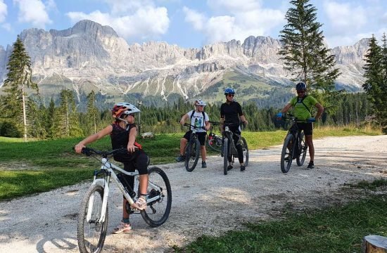 mountainbike-e-bike-steinegg-suedtirol (1)
