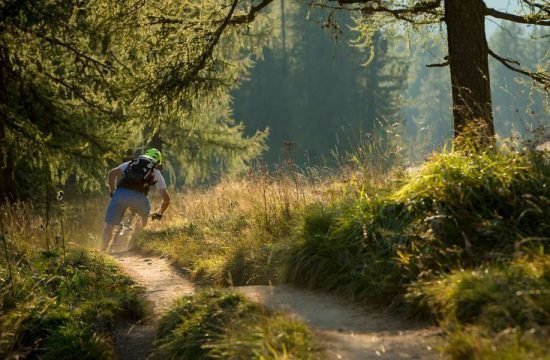 mountainbike-e-bike-steinegg-suedtirol