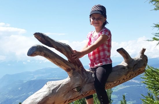 wandern-steinegg-(1)