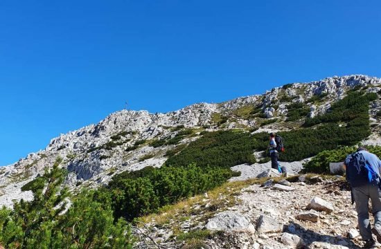 wandern-steinegg (4)